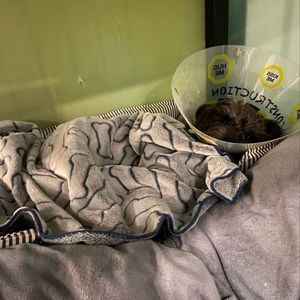 Meet your Posher, Kaycie